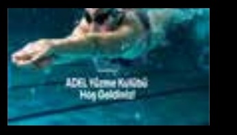 Adel website and swimming club visual