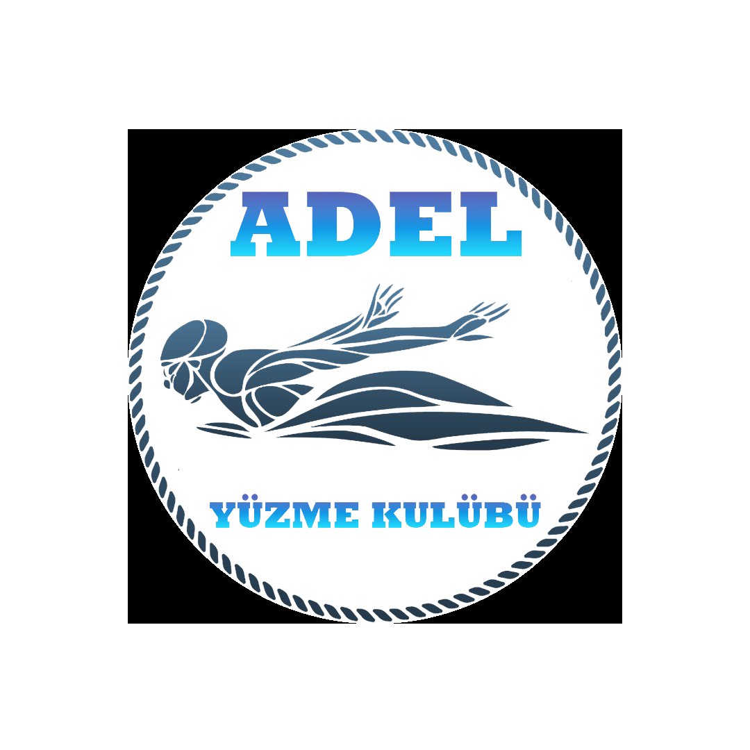 Adel project visual 1